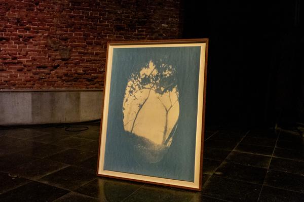 (image : Leontien Allemeersch) (image : Leontien Allemeersch)